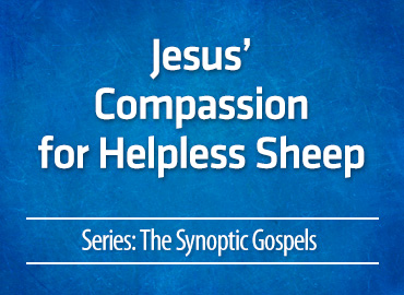 Jesus’ Compassion for Helpless Sheep